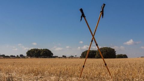 Un retour aux sources pour des citadins de plus en plus déconnectés des réalités de la vie à la campagne et du métier d'agriculteur (©CarlosJGarcíaPrieto, Fotolia)