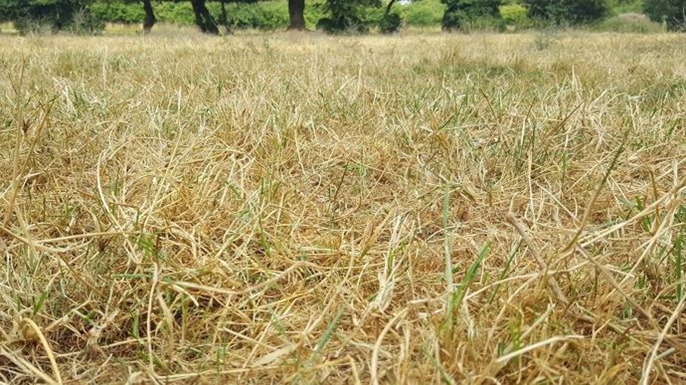 Didier Guillaume a décidé d'exonérer les agriculteurs de taxe foncière sur les propriétés non bâties.  (©Terre-net Média)