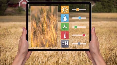 Avec une station météo à la ferme, le modèle maladies généré par l’OAD est plus fiable, car basé sur des données de proximité. 