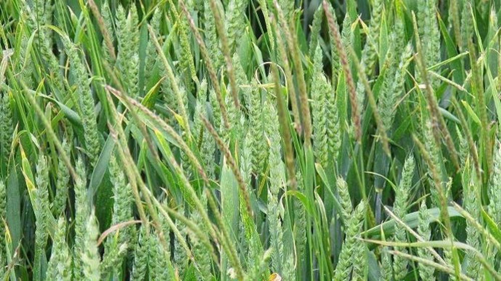 Cette formation s'adresse à toute personne travaillant dans le milieu agricole. (©Terre-net Média)
