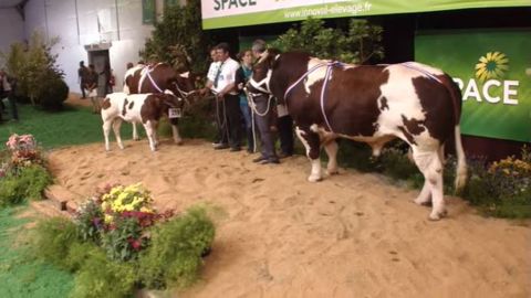 Maestro règne en maître sur le concours interrégional Rouge des prés