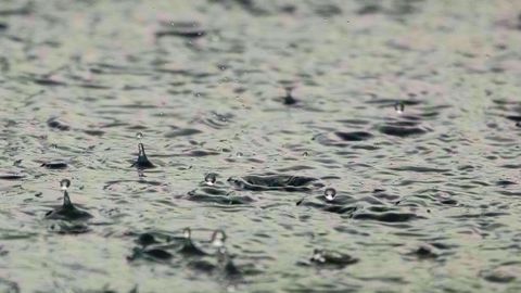Didier Guillaume a indiqué que les agriculteurs utilisaient « <strong>30 % de moins d'eau</strong> aujourd'hui qu'il y a 10 ou 15 ans ». (©Pixabay)