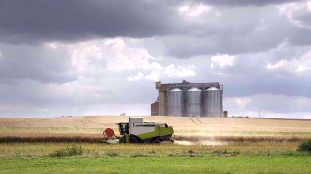 La campagne colza est marquée par un recul très fort des surfaces récoltées.