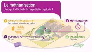 Fonctionnement d'une unité de méthanisation en injection. (©GRDF) Fonctionnement d'une unité de méthanisation en injection. (©GRDF)