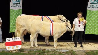 Noël et Héléna remportent le concours charolais Noël et Héléna remportent le concours charolais