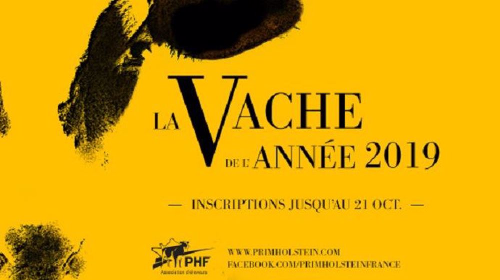 Les inscriptions au concours de Vache de l'année 2019 sont ouvertes. (©PHF) Les inscriptions au concours de Vache de l'année 2019 sont ouvertes. (©PHF)