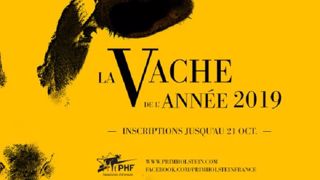 Les inscriptions au concours de Vache de l'année 2019 sont ouvertes. (©PHF) Les inscriptions au concours de Vache de l'année 2019 sont ouvertes. (©PHF)