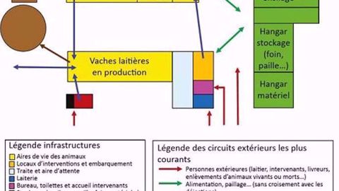 Chaque circuit (personnes extérieures, alimentation/paillage, déjections, animaux) est identifié et différencié des autres pour limiter les risques de contamination. (©Idele)