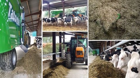 Homogénéité de la ration, distribution, ingestion et paillage : la mélangeuse Tatoma MVL-20-Duplo est inspectée sous toutes ses coutures. (©Terre-net Média) Homogénéité de la ration, distribution, ingestion et paillage : la mélangeuse Tatoma MVL-20-Duplo est inspectée sous toutes ses coutures. (©Terre-net Média)