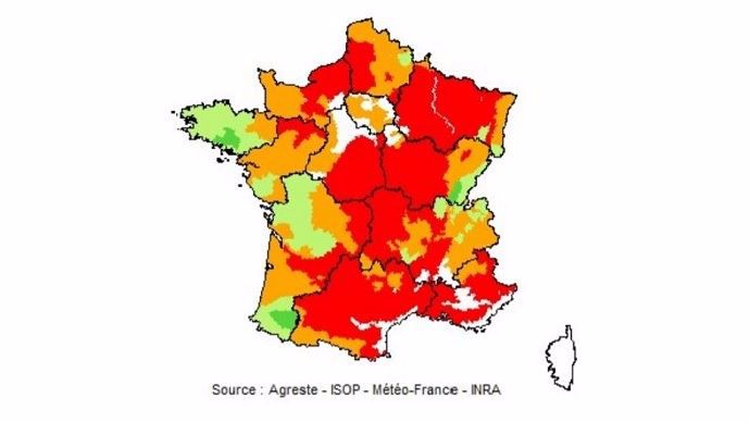 Carte sur la pousse de l'herbe