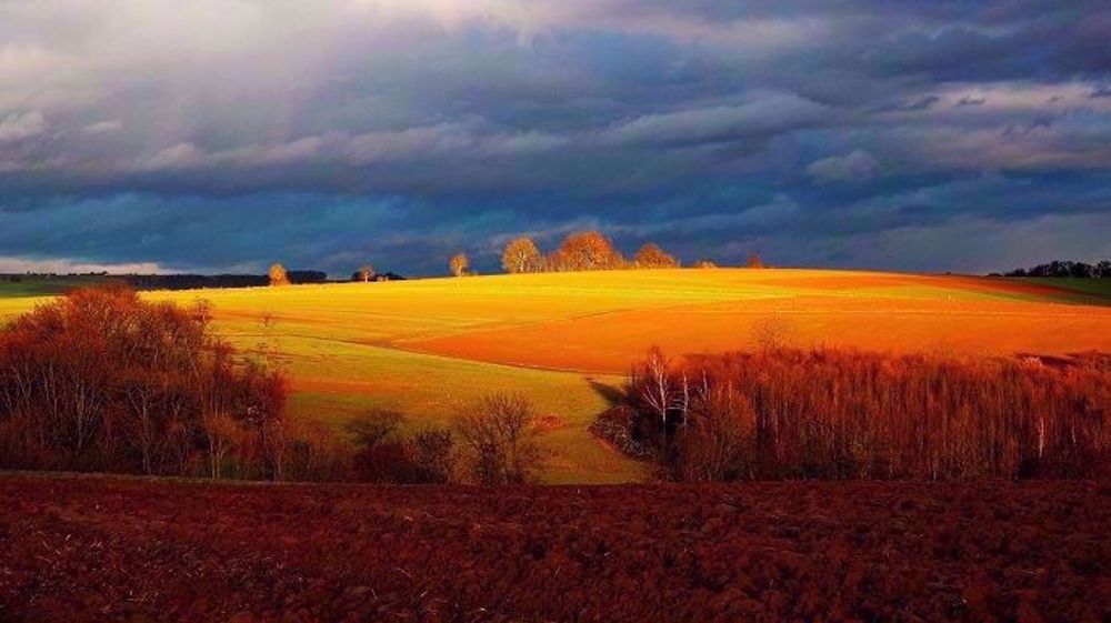 Octobre 2019 a été un « vrai mois d’automne », gris, pluvieux mais doux. (©Pixabay)