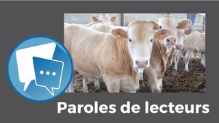 « Je connais plusieurs jeunes, très motivés, qui ne peuvent pas s'installer, car le capital est trop élevé en allaitant par rapport à la rémunération et les annuités trop importantes comparé à l'EBE », raconte steph72. (©Terre-net Média) « Je connais plusieurs jeunes, très motivés, qui ne peuvent pas s'installer, car le capital est trop élevé en allaitant par rapport à la rémunération et les annuités trop importantes comparé à l'EBE », raconte steph72. (©Terre-net Média)
