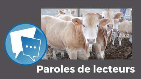 « Je connais plusieurs jeunes, très motivés, qui ne peuvent pas s'installer, car le capital est trop élevé en allaitant par rapport à la rémunération et les annuités trop importantes comparé à l'EBE », raconte steph72. (©Terre-net Média) « Je connais plusieurs jeunes, très motivés, qui ne peuvent pas s'installer, car le capital est trop élevé en allaitant par rapport à la rémunération et les annuités trop importantes comparé à l'EBE », raconte steph72. (©Terre-net Média)
