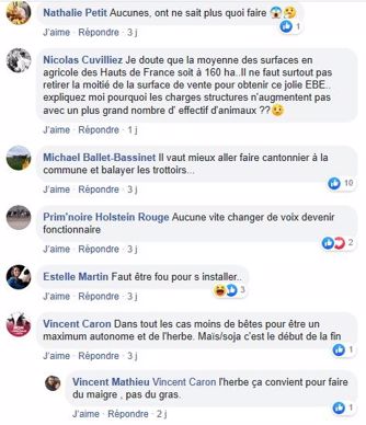 post facebook s installer en bovins viande