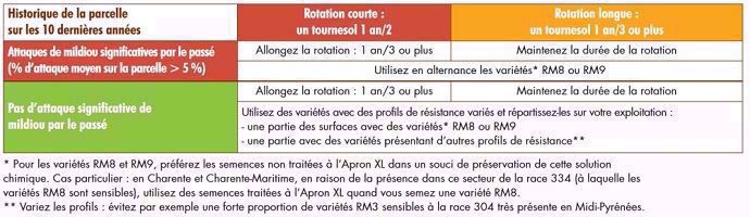 Combiner allongement de la rotation, alternance des variétés et raisonnement du traitement de semences, tout en tenant compte de l’historique de la parcelle