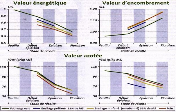 Lorsque la valeur d'encombrement des fourrages augmente, la valeur alimentaire (énergétique et azotée) dimunue.