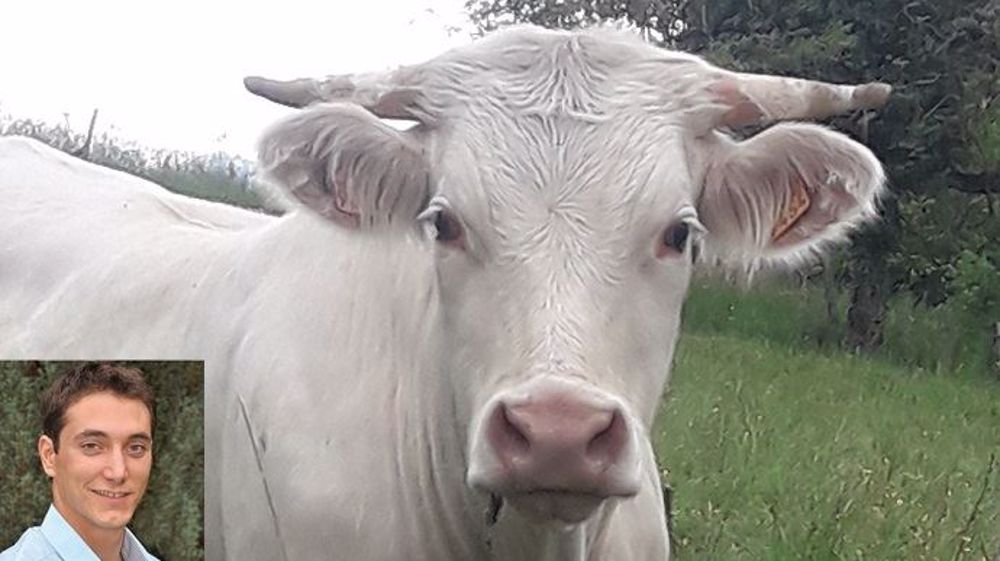 Robin Vergonjeanne, passionné d'élevage, est d'abord journaliste, un métier qui lui permet de « côtoyer des techniciens, vétérinaires, économistes, mais aussi de nombreux éleveurs ». (©Robin Vergonjeanne)