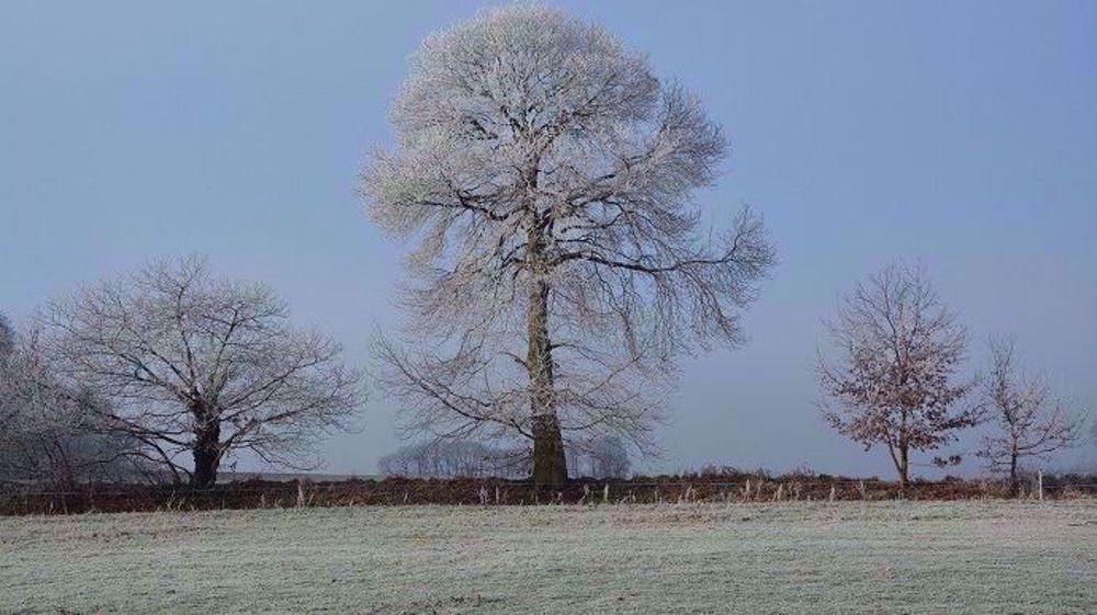 Le retour du froid est prévu pour la fin de semaine. (©Pixabay)