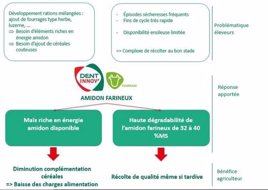Dent'Innov fourrage
