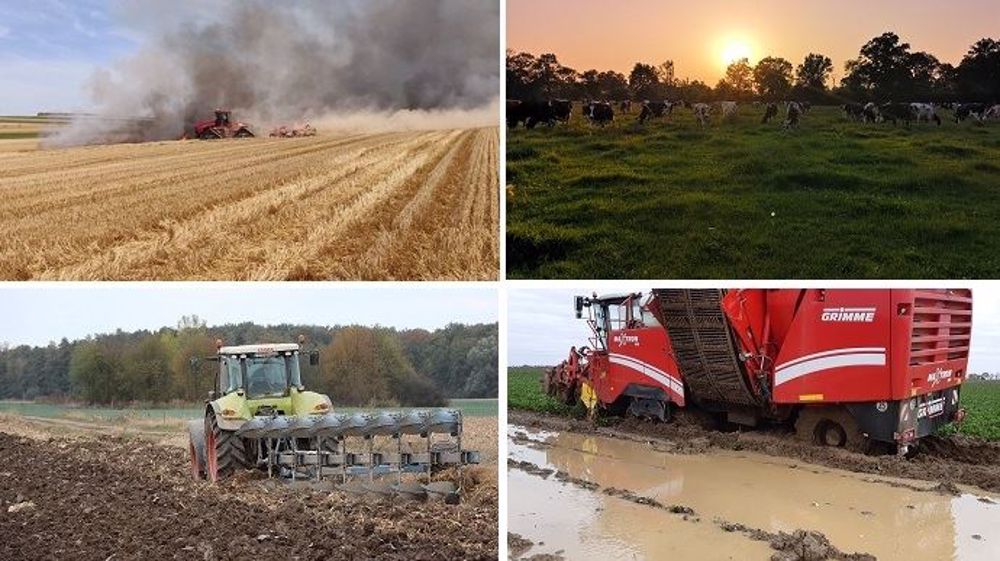 Canicule et sécheresse pendant l'été, fortes précipitations à l'automne : les agriculteurs ont dû s'adapter aux conditions climatiques particulières de l'année 2019 (©Comptes twitter François Arnould, Thomas Graindorge, Popot Xavier et photo Terre-net Média)