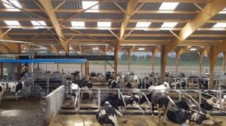 Portes ouvertes au Gaec des Landelles (Loire Atlantique) le 14 décembre 2019. Portes ouvertes au Gaec des Landelles (Loire Atlantique) le 14 décembre 2019.