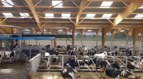 Portes ouvertes au Gaec des Landelles (Loire Atlantique) le 14 décembre 2019. Portes ouvertes au Gaec des Landelles (Loire Atlantique) le 14 décembre 2019.