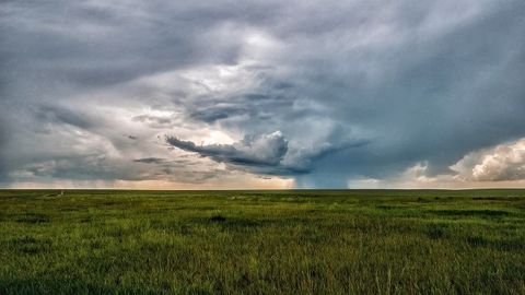 Les pluies mettent en péril le potentiel de production européen.