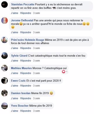 post facebook tresorerie des elevages bovins toujours morose fin 2019