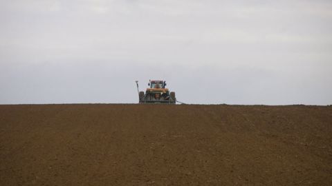 Pour les sols sensibles à l'excès d'eau et à ressuyage lent, les fenêtres propices au semis se font plus rares en sortie d'hiver. (©Terre-net Média) Pour les sols sensibles à l'excès d'eau et à ressuyage lent, les fenêtres propices au semis se font plus rares en sortie d'hiver. (©Terre-net Média)
