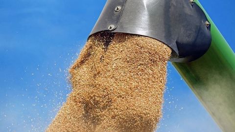 La Chine a privilégié l'Australie au détriment des États-Unis pour son dernier achat de blé. La Chine a privilégié l'Australie au détriment des États-Unis pour son dernier achat de blé.