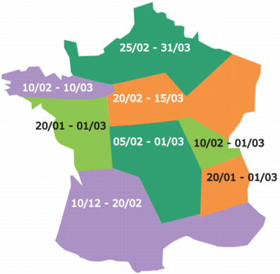 Période optimale de semis du pois de printemps selon les régions