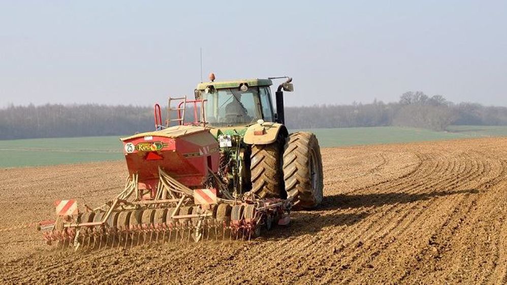 Si certains agriculteurs terminent actuellement leurs semis de pois d'hiver, la période d'implantation des pois de printemps approche pour d'autres.