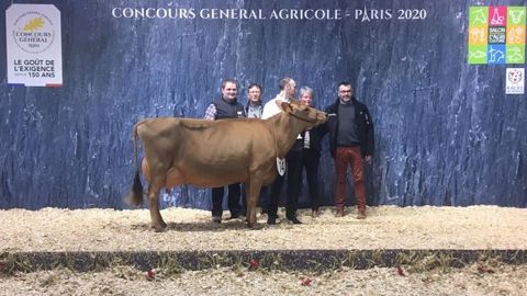 Eosine sacrée grande championne de la race jersiaise Eosine sacrée grande championne de la race jersiaise
