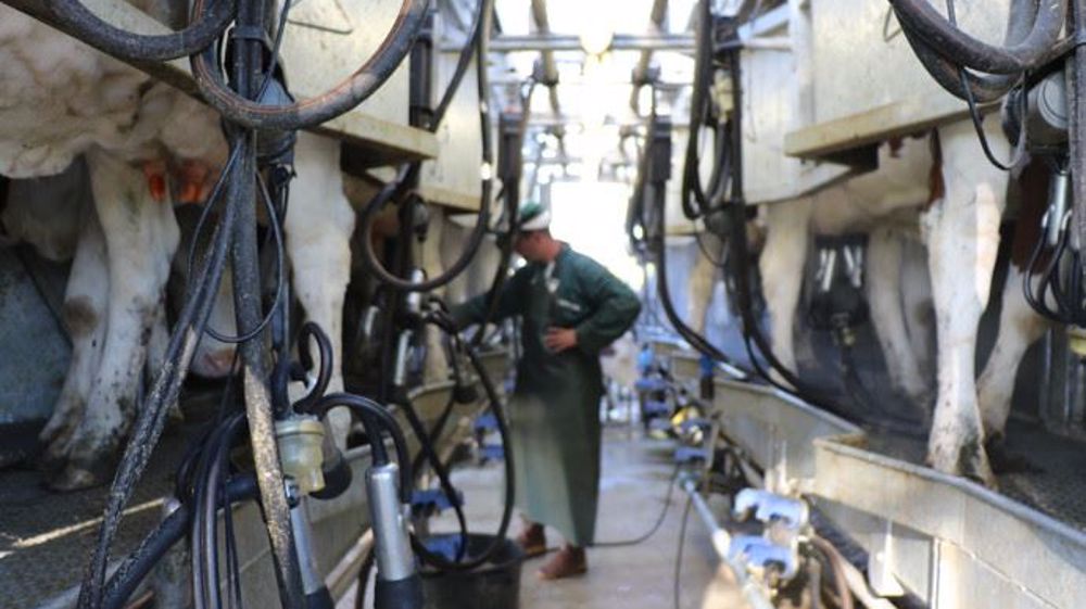 Les métiers de la filière laitière n'attirent pas, en dépit d'une bonne image auprès des jeunes (©Terre-net Média)