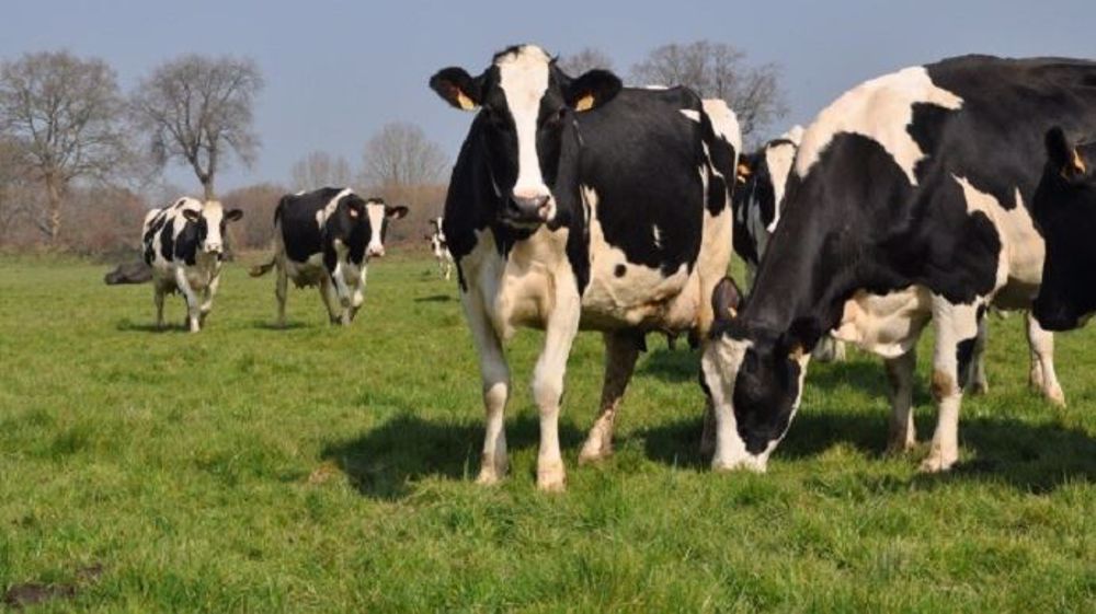  Les serious games sont « un bon outil pour <strong>communiquer sur l'élevage</strong> et attirer des jeunes vers l’enseignement agricole<a href="http://www.web-agri.fr/actualite-agricole/economie-social/article/le-cneap-au-salon-de-l-agriculture-innover-pour-se-preparer-aux-metiers-agricoles-de-demain-1142-167066.html" title="L'enseignement agricole privé au salon de l'agriculture" target="_self"></a> », juge Philippe Vinçon (DGER). (&c