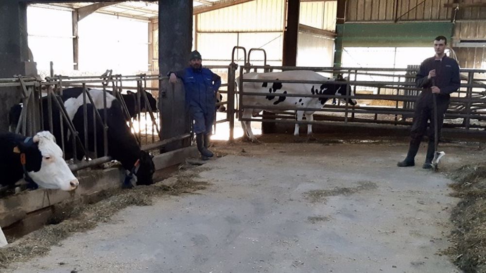 Christophe Didelot, éleveur laitier des Vosges, a contracté le coronavirus. L'éleveur n'a pas eu droit au service de remplacement. Heureusement, Romain, son apprenti, a accepté de venir l'aider sur la ferme en prenant de nombreuses précautions pour éviter la contamination. (©Christophe Didelot)