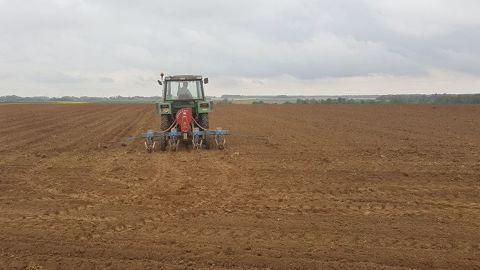 Selon un récent sondage, la majorité des éleveurs attende que passe le 15 avril pour démarrer leurs semis de maïs. (©Terre-net Média) Selon un récent sondage, la majorité des éleveurs attende que passe le 15 avril pour démarrer leurs semis de maïs. (©Terre-net Média)
