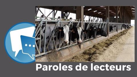 « À force de tirer sur la corde », le secteur de l'alimentation animale va « tuer sa poule aux œufs d'or !! », prévient ceres. (©Terre-net Média) « À force de tirer sur la corde », le secteur de l'alimentation animale va « tuer sa poule aux œufs d'or !! », prévient ceres. (©Terre-net Média)