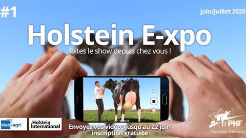 Prim'holstein France propose un concours en ligne. C'est aux éleveurs de filmer leurs animaux de chez eux. Les vidéos seront analysées par des juges agréés et des passionnés de la race. (©PHF) Prim'holstein France propose un concours en ligne. C'est aux éleveurs de filmer leurs animaux de chez eux. Les vidéos seront analysées par des juges agréés et des passionnés de la race. (©PHF)