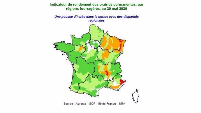 Pousse de l'herbe au 20 mai 2020