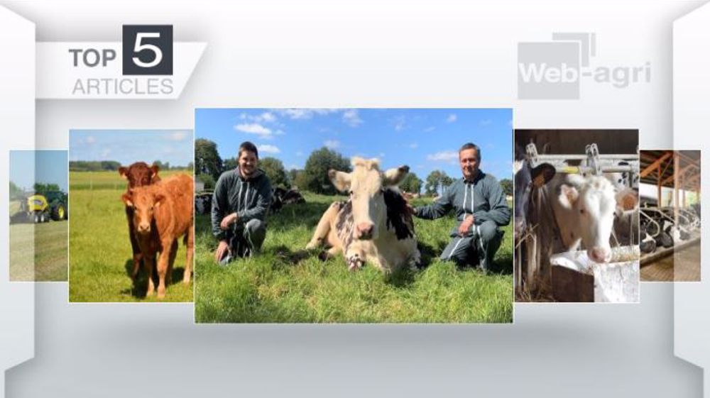 Articles les plus lus sur Web-agri cette semaine. (©Terre-net Media)