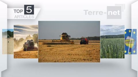Les articles les plus lus sur Terre-net cette semaine. (©Terre-net Média)
