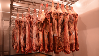 Le succès n'a pas été au rendez-vous pour l'aide au stockage privé de viande bovine. (©Terre-net Média) Le succès n'a pas été au rendez-vous pour l'aide au stockage privé de viande bovine. (©Terre-net Média)