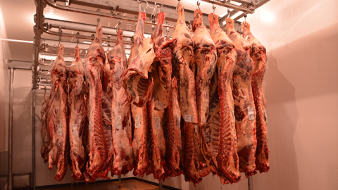Le succès n'a pas été au rendez-vous pour l'aide au stockage privé de viande bovine. (©Terre-net Média) Le succès n'a pas été au rendez-vous pour l'aide au stockage privé de viande bovine. (©Terre-net Média)