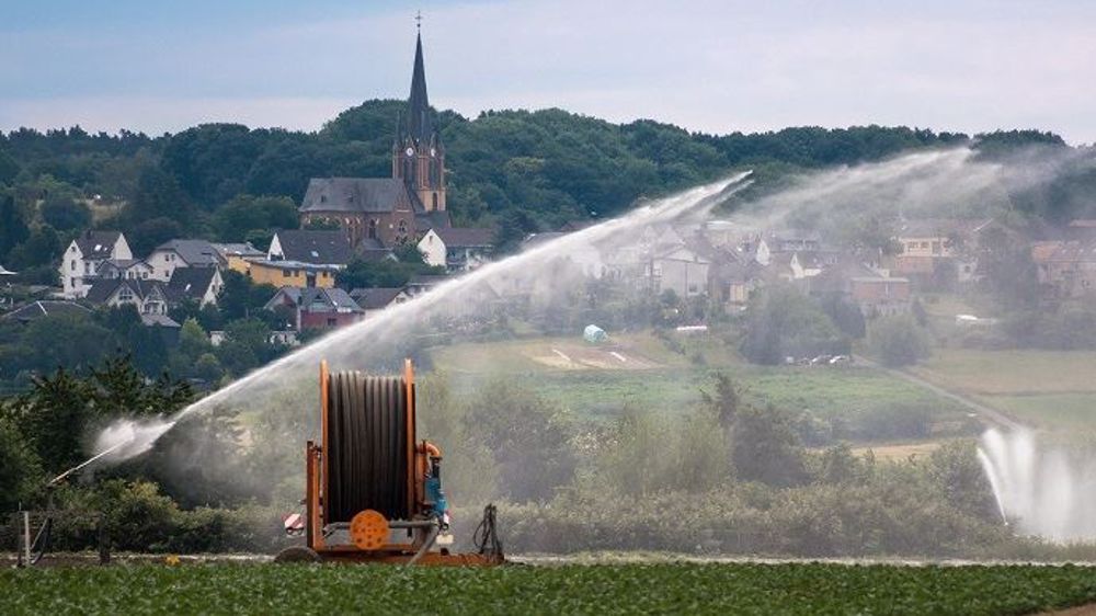 Le progrès technique permet aujourd'hui de réduire le volume d'eau employé pour l'irrigation. (©Pixabay)
