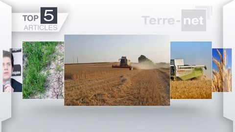 Top articles de Terre-net cette semaine. (©Terre-net Média)