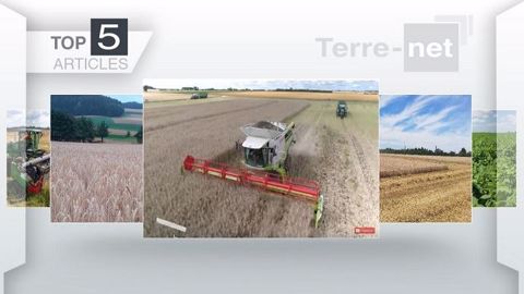 Top articles de Terre-net cette semaine. (©Terre-net Média)