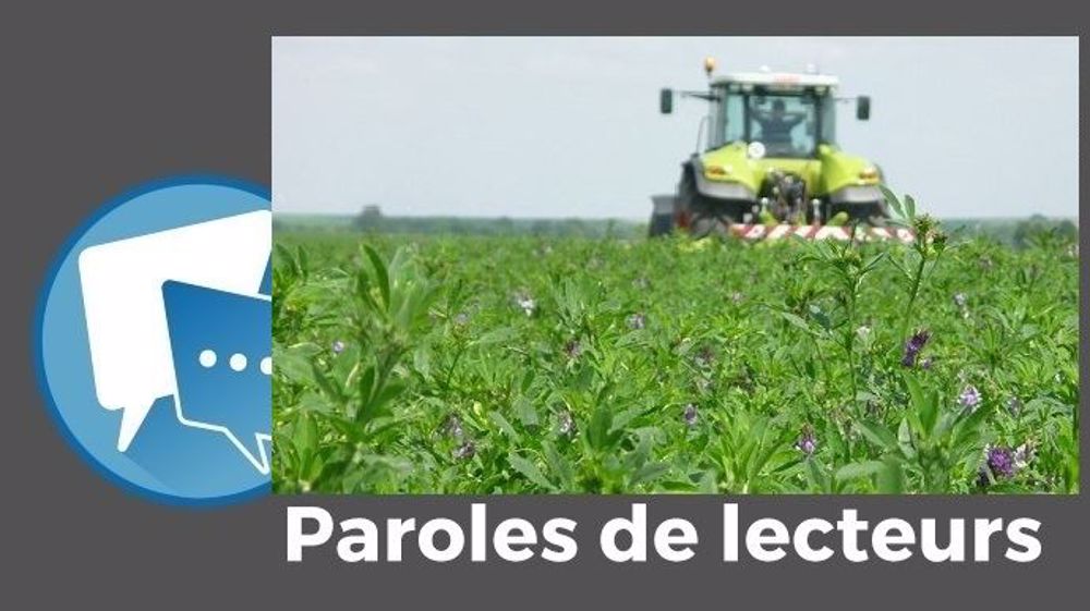  « Avant, on implantait une luzerne pour 5 à 6 années alors que maintenant, ce n'est plus que pour 2/3 ans », observe Patrice Brachet. (©Terre-net Média)