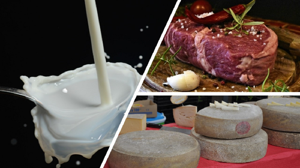 Les préoccupations pour des produits bons pour la santé et l'environnement se sont renforcés pendant la crise, d'après FranceAgriMer. (©Pixabay / Création : Terre-net Média)