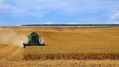 La production européenne de blé est attendue en baisse de presque 20 Mt cette année. (©Pixabay) La production européenne de blé est attendue en baisse de presque 20 Mt cette année. (©Pixabay)